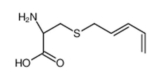 Imagem de (2R)-2-amino-3-penta-2,4-dienylsulfanylpropanoic acid