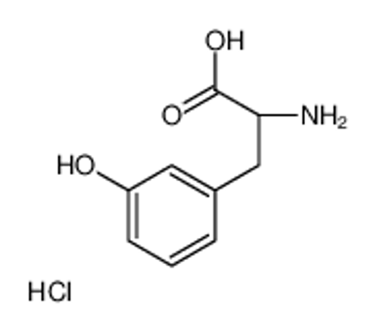 Picture of (2S)-2-amino-3-(3-hydroxyphenyl)propanoic acid,hydrochloride
