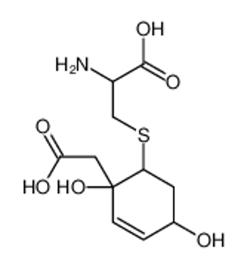 Picture of 2-amino-3-[2-(carboxymethyl)-2,5-dihydroxycyclohex-3-en-1-yl]sulfanylpropanoic acid