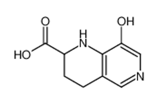 Picture of 8-hydroxy-1,2,3,4-tetrahydro-1,6-naphthyridine-2-carboxylic acid