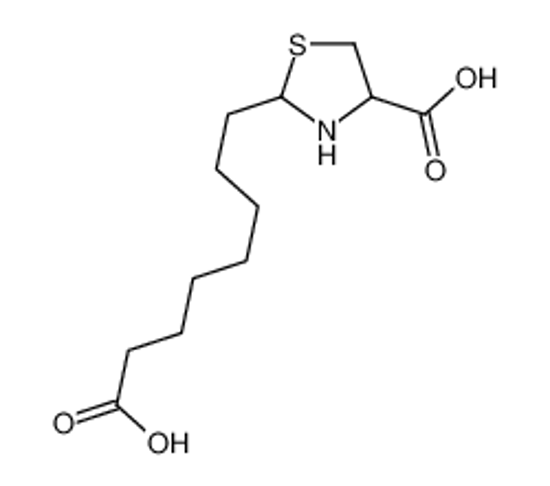 Изображение 2-(7-carboxyheptyl)-1,3-thiazolidine-4-carboxylic acid