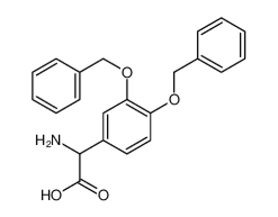 Picture of 2-amino-2-[3,4-bis(phenylmethoxy)phenyl]acetic acid