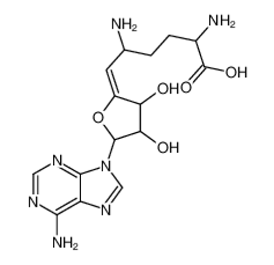 Picture of (6E)-2,5-diamino-6-[5-(6-aminopurin-9-yl)-3,4-dihydroxyoxolan-2-ylidene]hexanoic acid
