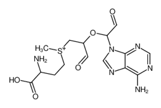 Picture of (3-amino-3-carboxypropyl)-[2-[1-(6-aminopurin-9-yl)-2-oxoethoxy]-3-oxopropyl]-methylsulfanium