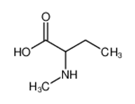 Picture of 2-(methylamino)butanoic acid