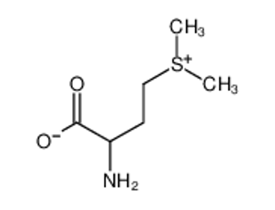 Picture of 2-amino-4-dimethylsulfoniobutanoate