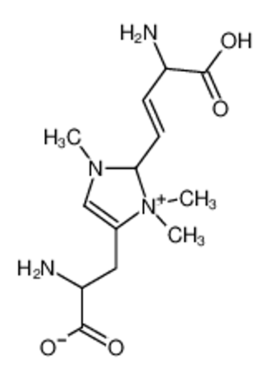 Изображение diphthine