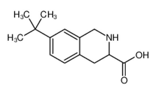 Picture of 7-tert-butyl-1,2,3,4-tetrahydroisoquinoline-3-carboxylic acid