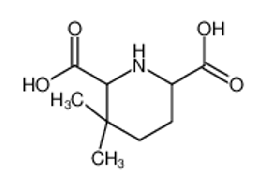 Picture of 3,3-dimethylpiperidine-2,6-dicarboxylic acid