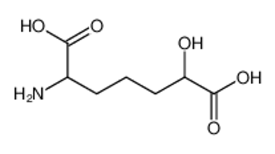Picture of 2-amino-6-hydroxyheptanedioic acid