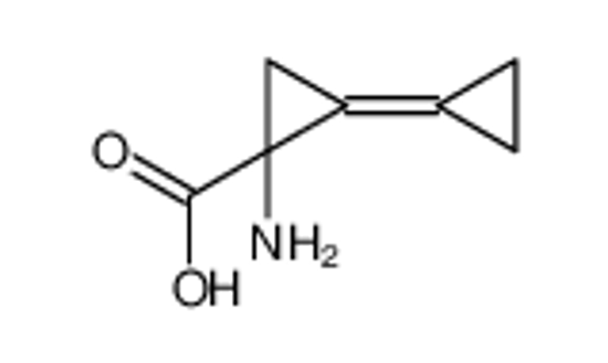 Picture of 1-amino-2-cyclopropylidenecyclopropane-1-carboxylic acid
