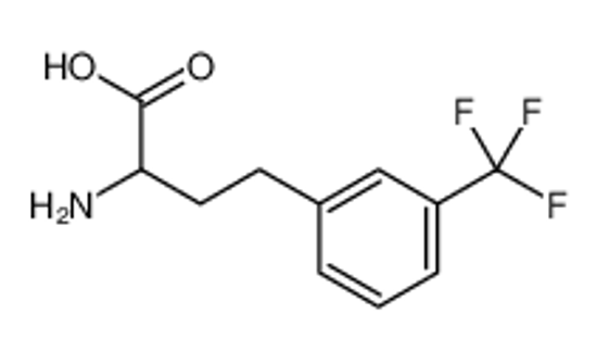 Picture of 2-amino-4-[3-(trifluoromethyl)phenyl]butanoic acid