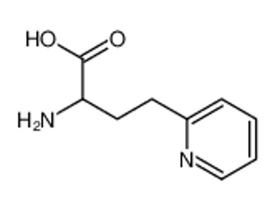 Picture of 2-amino-4-pyridin-2-ylbutanoic acid