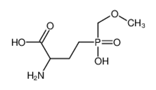 Picture of 2-amino-4-[hydroxy(methoxymethyl)phosphoryl]butanoic acid