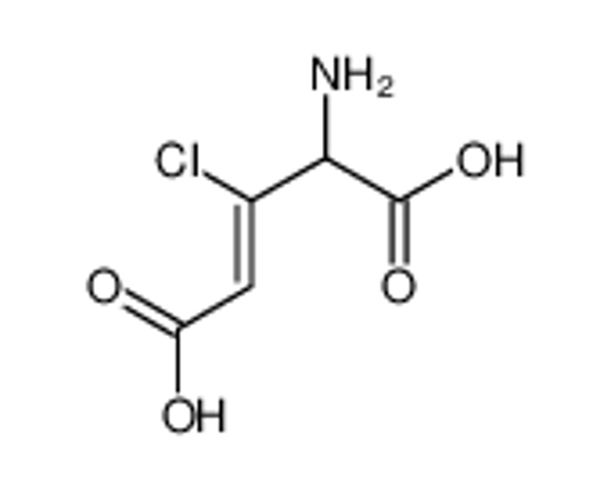 Imagem de 4-amino-3-chloropent-2-enedioic acid