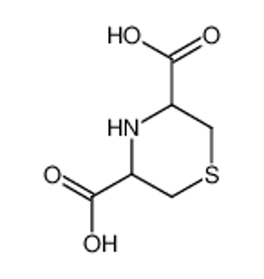 Изображение thiomorpholine-3,5-dicarboxylic acid