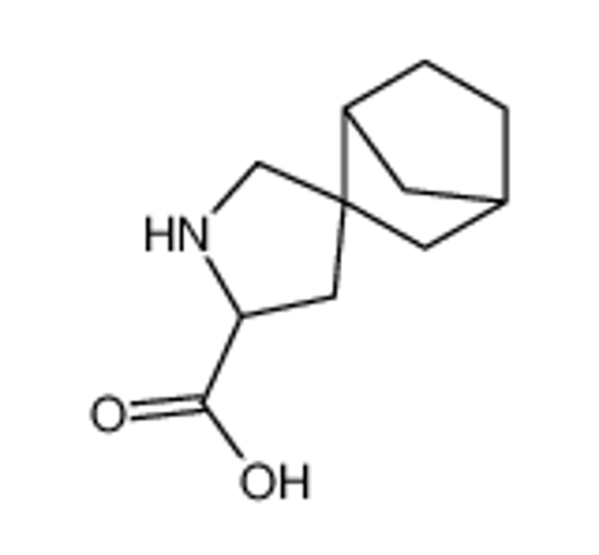 Picture of spiro[bicyclo[2.2.1]heptane-3,4'-pyrrolidine]-2'-carboxylic acid