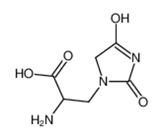 Picture of 2-amino-3-(2,4-dioxoimidazolidin-1-yl)propanoic acid