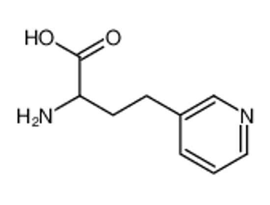 Picture of 2-amino-4-pyridin-3-ylbutanoic acid