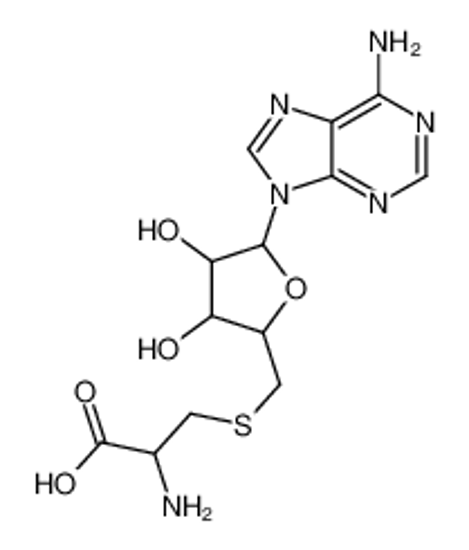 Изображение 2-amino-3-[[5-(6-aminopurin-9-yl)-3,4-dihydroxyoxolan-2-yl]methylsulfanyl]propanoic acid