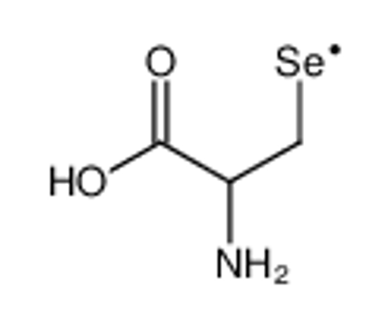 Picture of selenocysteine