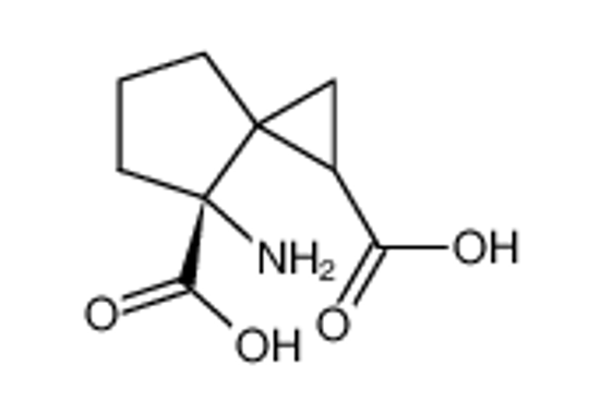 Picture of (7R)-7-aminospiro[2.4]heptane-2,7-dicarboxylic acid