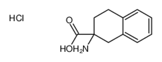 Изображение 2-amino-3,4-dihydro-1H-naphthalene-2-carboxylic acid,hydrochloride