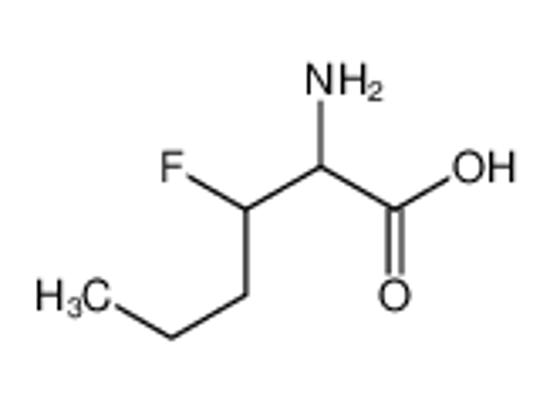 Picture of 2-amino-3-fluorohexanoic acid