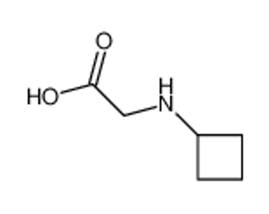Imagem de 2-(cyclobutylamino)acetic acid