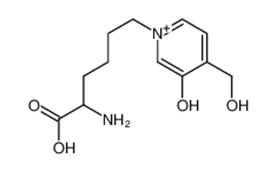 Picture of 2-amino-6-[3-hydroxy-4-(hydroxymethyl)pyridin-1-ium-1-yl]hexanoic acid
