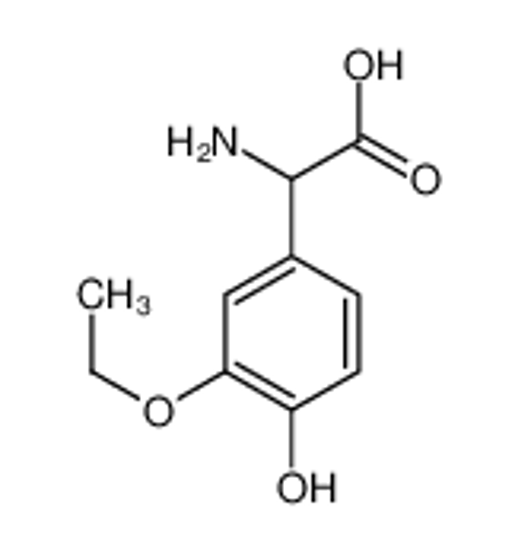 Imagem de 2-amino-2-(3-ethoxy-4-hydroxyphenyl)acetic acid