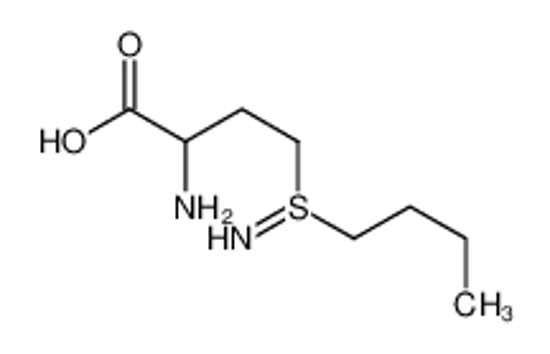 Imagem de 2-amino-4-(butylsulfinimidoyl)butanoic acid