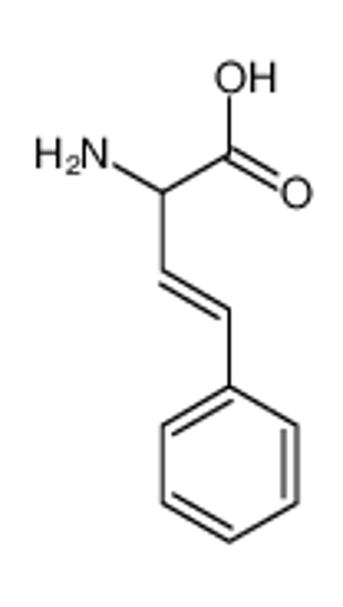 Picture of (E)-2-amino-4-phenylbut-3-enoic acid