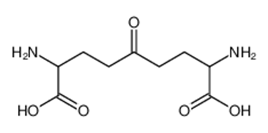 Picture of 2,8-diamino-5-oxononanedioic acid