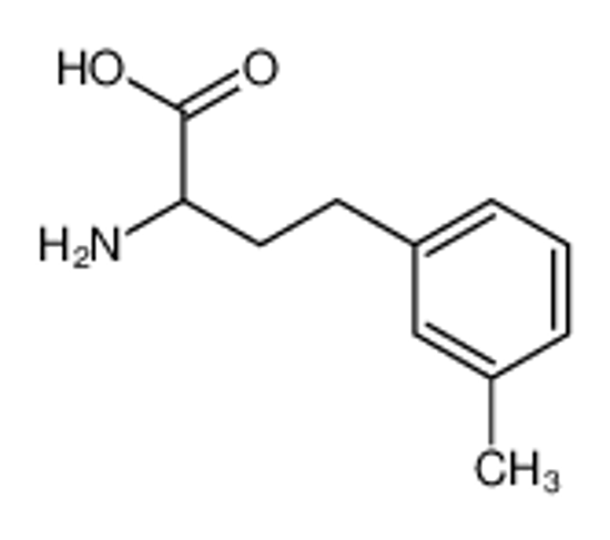 Picture of 2-amino-4-(3-methylphenyl)butanoic acid