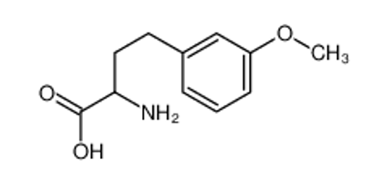 Изображение 2-amino-4-(3-methoxyphenyl)butanoic acid