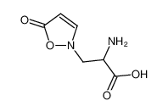 Picture of 2-amino-3-(5-oxo-1,2-oxazol-2-yl)propanoic acid
