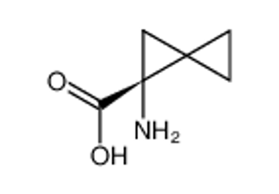 Imagem de (2R)-2-aminospiro[2.2]pentane-2-carboxylic acid