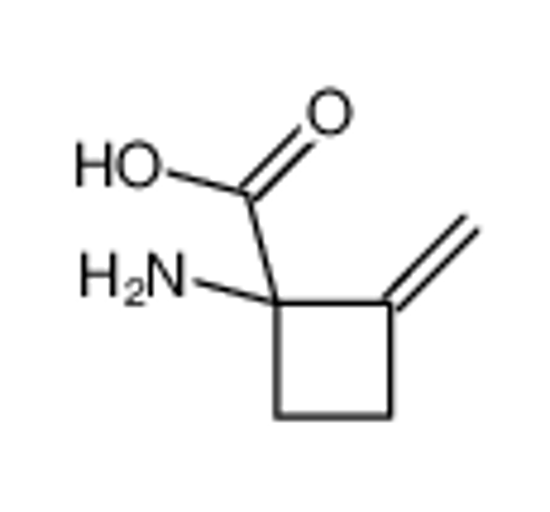 Picture of 1-amino-2-methylidenecyclobutane-1-carboxylic acid