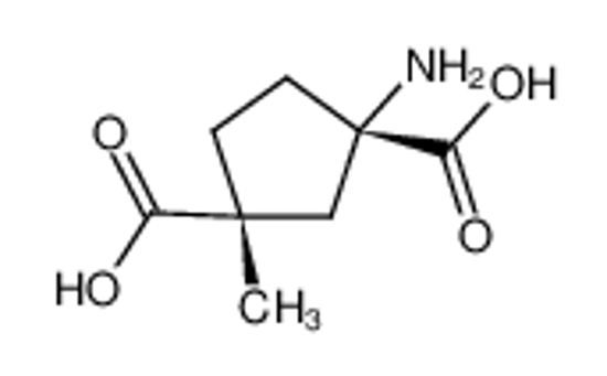 Picture of (1S,3R)-1-amino-3-methylcyclopentane-1,3-dicarboxylic acid