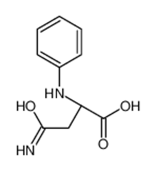 Изображение (2S)-4-amino-2-anilino-4-oxobutanoic acid