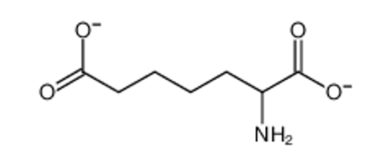 Picture of 2-aminoheptanedioate