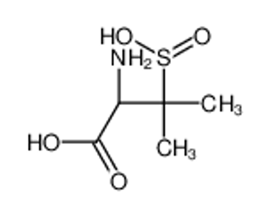 Picture of (2S)-2-amino-3-methyl-3-sulfinobutanoic acid