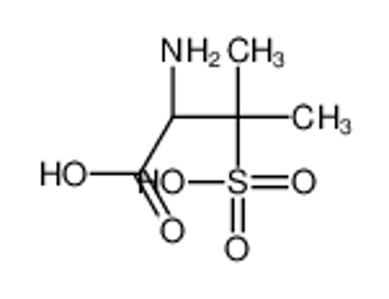 Picture of (2S)-2-amino-3-methyl-3-sulfobutanoic acid