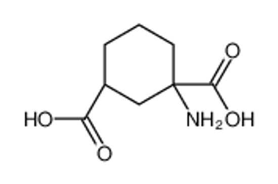 Picture of (1R,3R)-1-aminocyclohexane-1,3-dicarboxylic acid