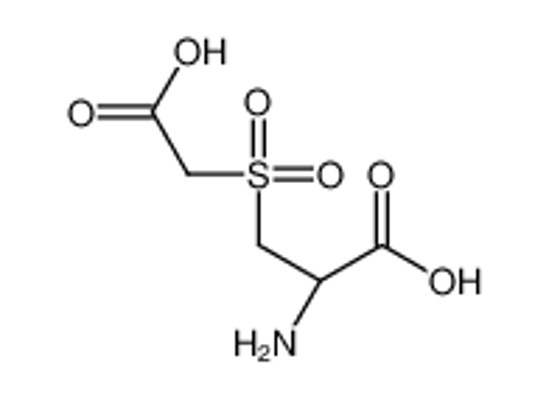 Picture of (2R)-2-amino-3-(carboxymethylsulfonyl)propanoic acid