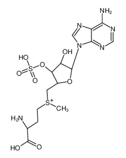 Picture of [(3S)-3-amino-3-carboxypropyl]-[[(2S,3S,4R,5R)-5-(6-aminopurin-9-yl)-4-hydroxy-3-sulfooxyoxolan-2-yl]methyl]-methylsulfanium