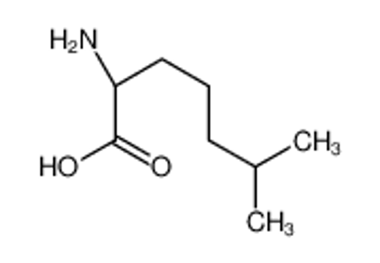Picture of (2S)-2-amino-6-methylheptanoic acid