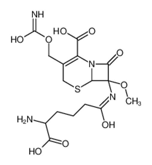 Picture of cephamycin C