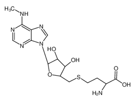 Picture of 2-amino-4-[[(2S,3S,4R,5R)-3,4-dihydroxy-5-[6-(methylamino)purin-9-yl]oxolan-2-yl]methylsulfanyl]butanoic acid